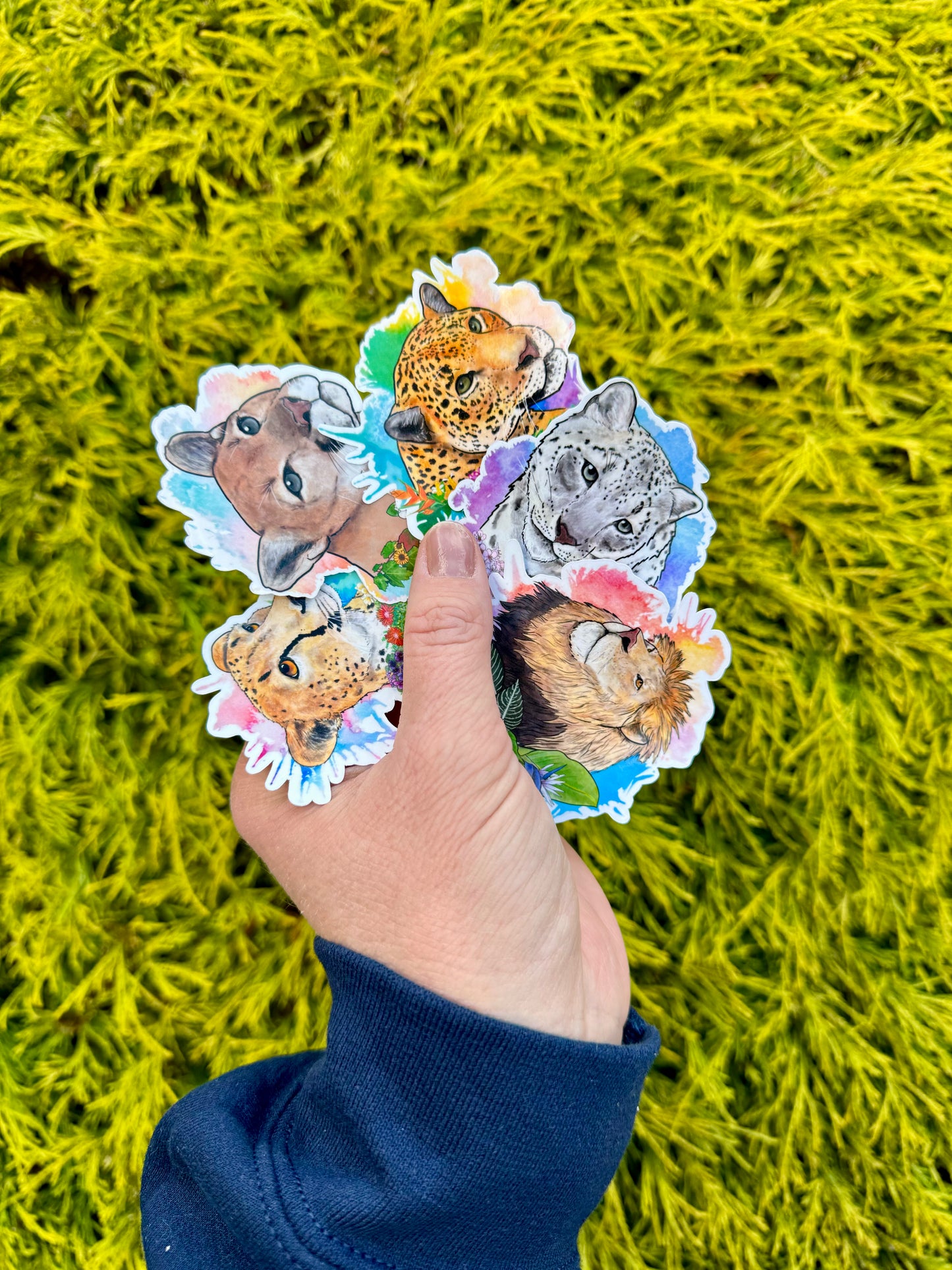 Big cat floral sticker pack