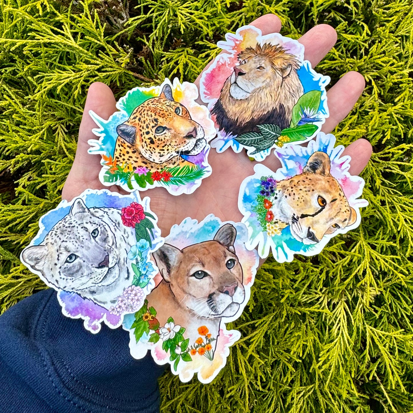 Big cat floral sticker pack